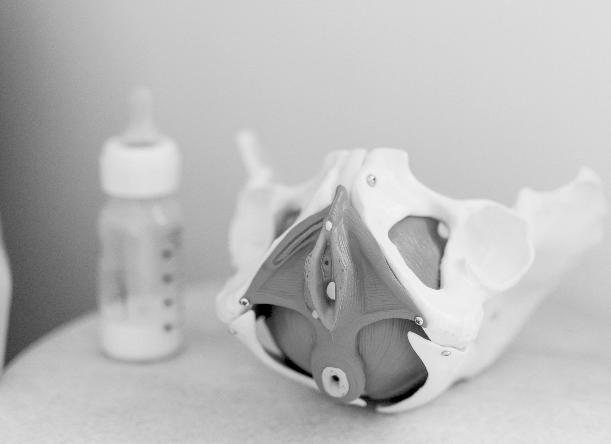 close up of a model of a pelvic sitting on a table next to a baby bottle