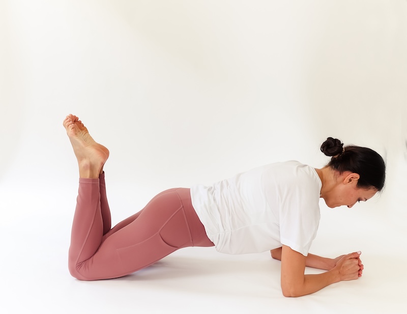 pelvic floor prolapse exercises modified plank