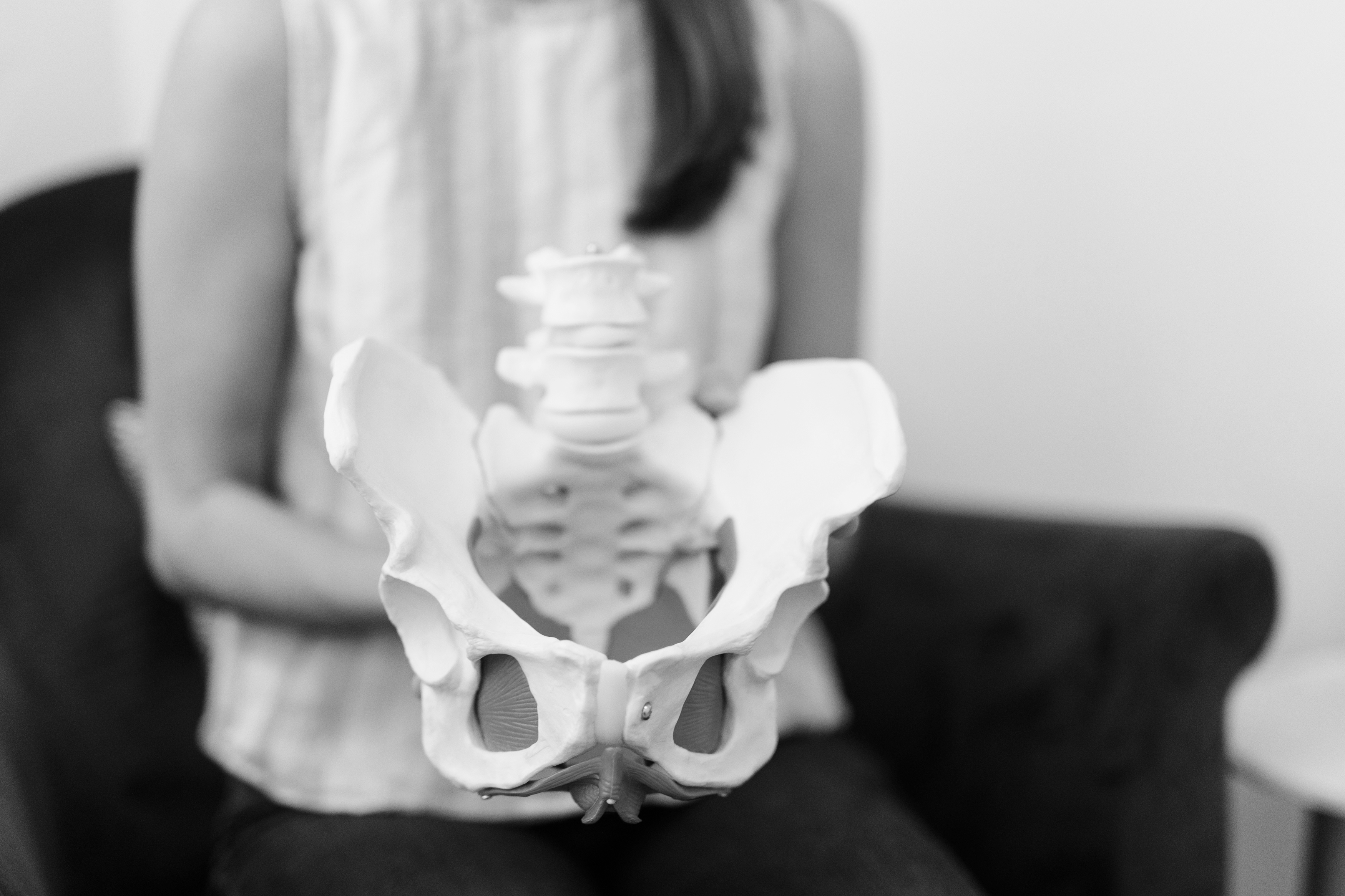 black and white closeup of someone holding a model pelvis to demonstrate cbd for pelvic floor dysfunction